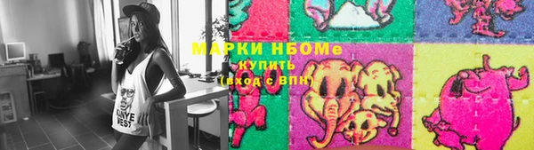 шишки Медвежьегорск