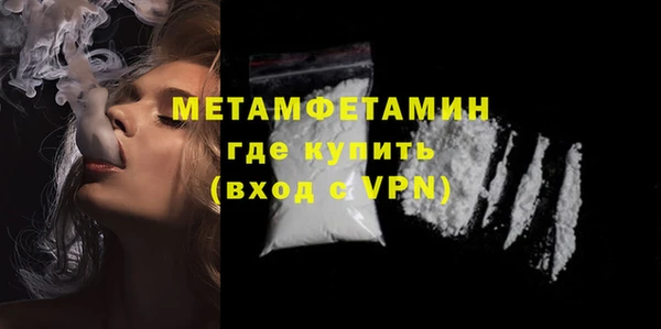 шишки Медвежьегорск