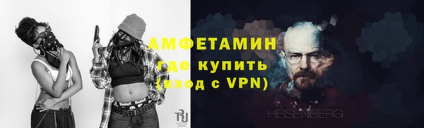 шишки Медвежьегорск