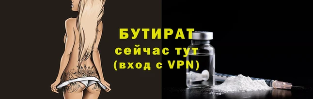 шишки Медвежьегорск