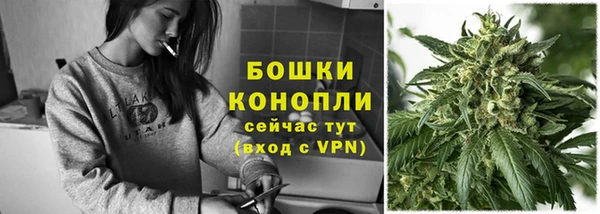шишки Медвежьегорск