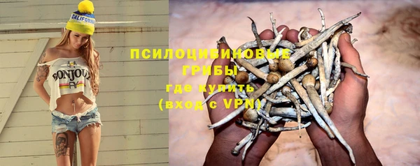 шишки Медвежьегорск