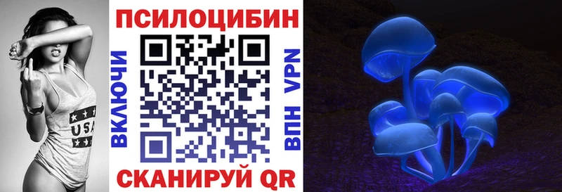 площадка состав  Каргополь  Псилоцибиновые грибы Magic Shrooms 